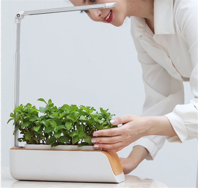 Woman tending to lush green herbs in a smart indoor hydroponic planter with LED grow light.