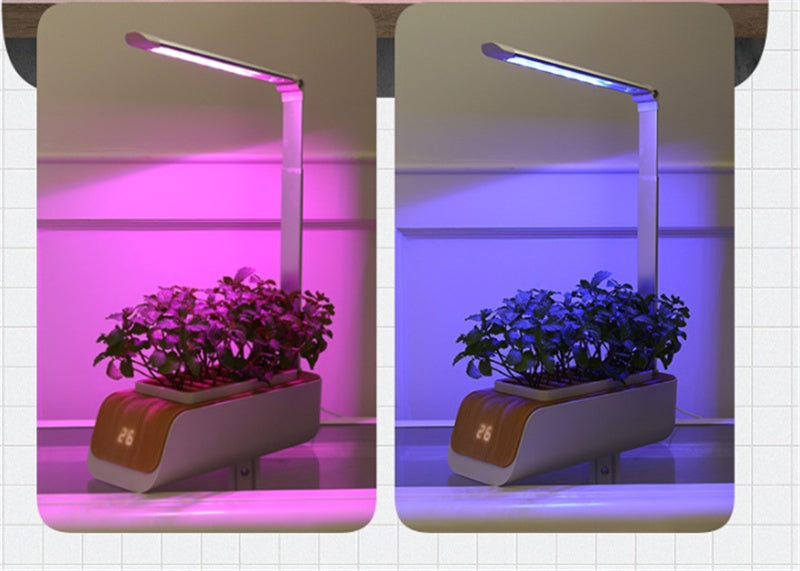 Smart indoor hydroponic herb garden with adjustable LED grow lights in pink and blue tones.