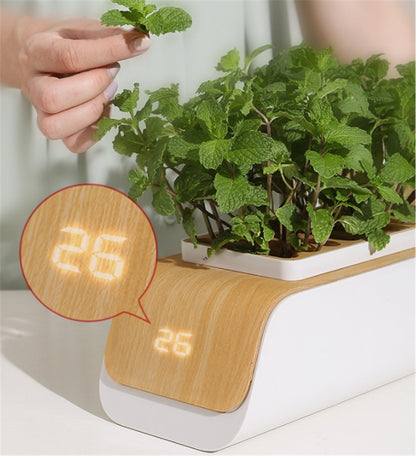Smart indoor herb garden with digital temperature display showing 26 degrees.