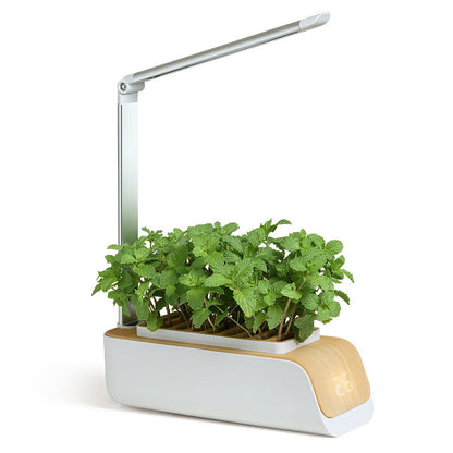 Smart indoor herb garden with integrated LED grow light and digital display.