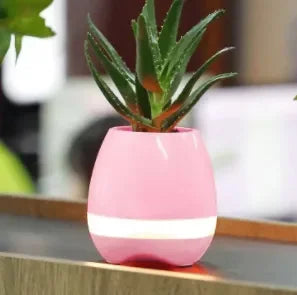 Pink smart flowerpot with LED light and green succulent on a table