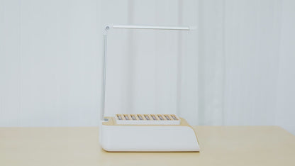 Indoor Herb Garden Kit with Automatic LED Grow Light